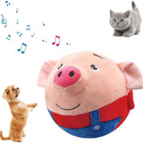 Little Piggy Pet Toy