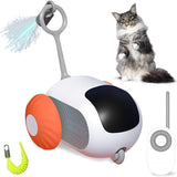 Remote Control Car for Pets