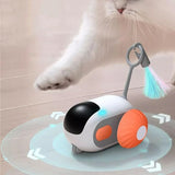 Remote Control Car for Pets